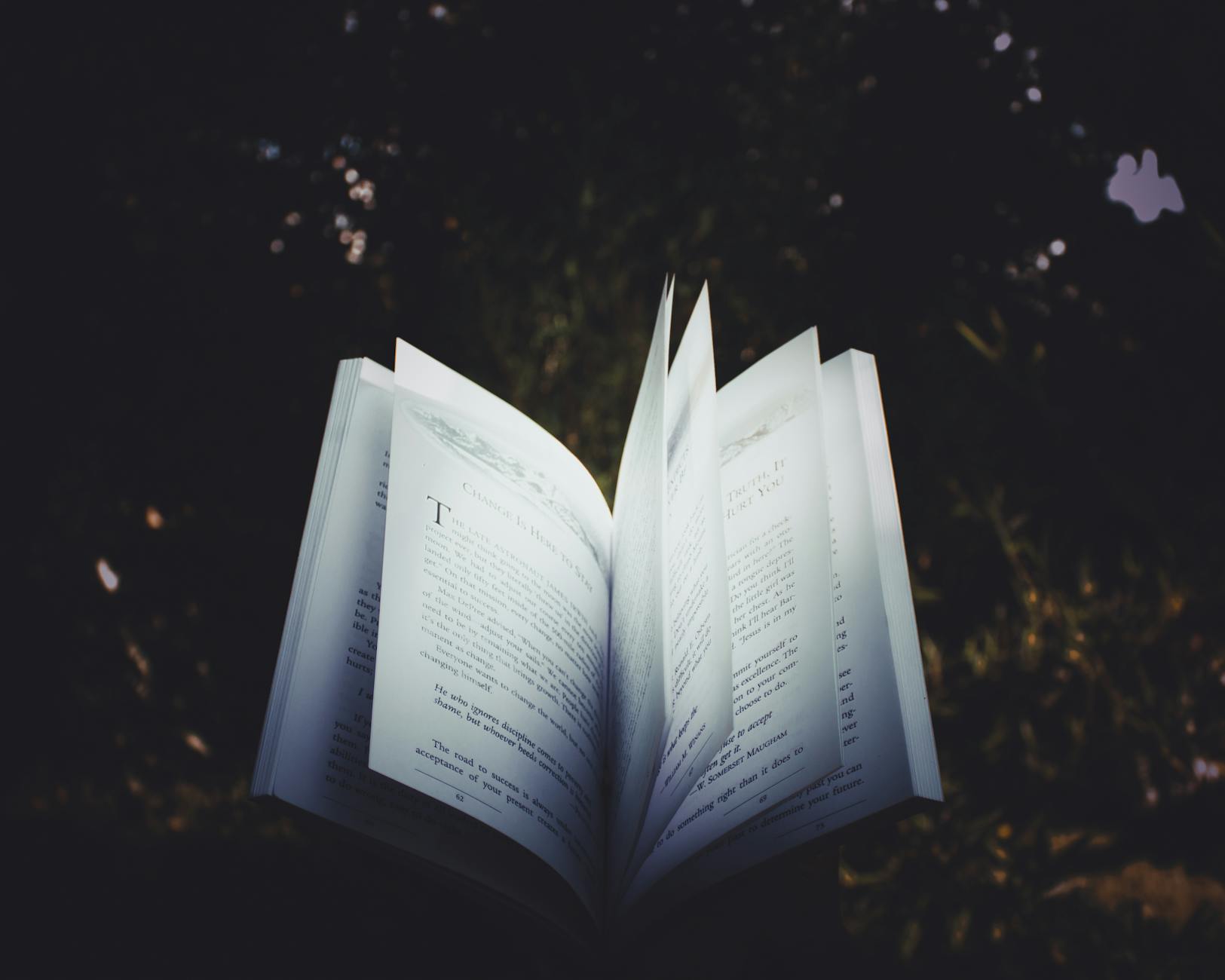 An open book with pages turning, captured outdoors, creating a dreamy reading atmosphere.